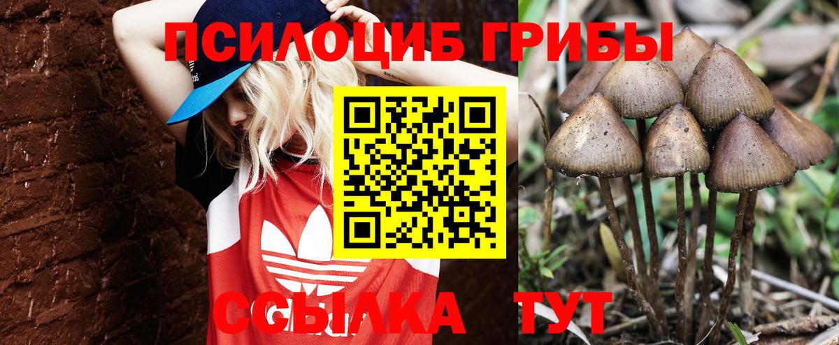 Галлюциногенные грибы Cubensis  Псилоцибиновые грибы ЛСД  Лосино-Петровский  Вход с VPN 